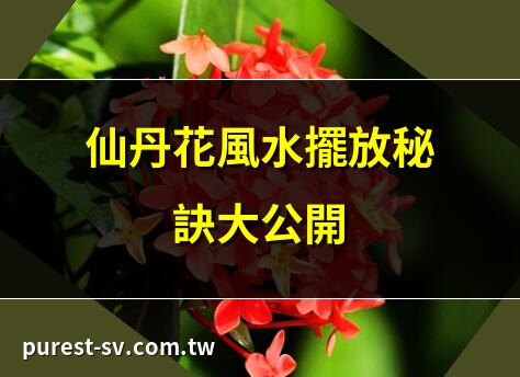 仙丹花風水