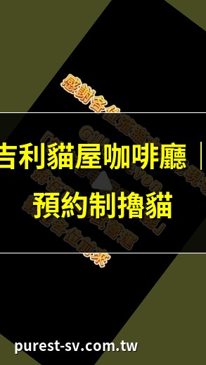 吉利貓屋