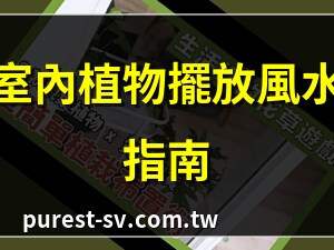 房間適合種什麼植物