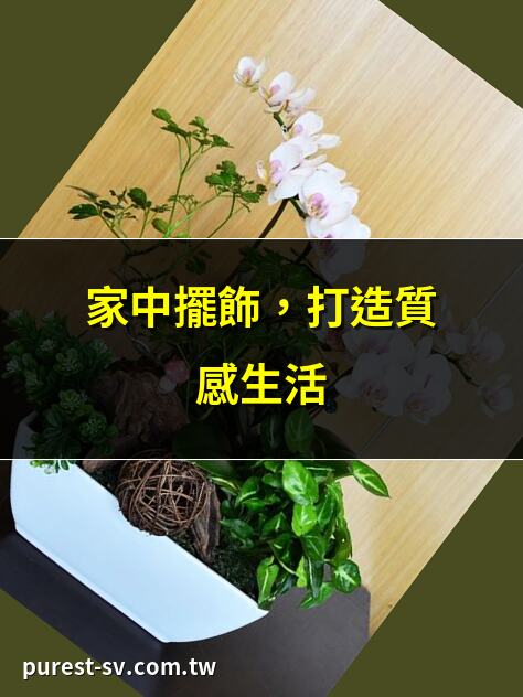 家中擺飾，打造質感生活 | 9款特色家電，提升居家品味 | 高質感燈飾，營造温馨氛圍 | 藝術品擺飾，增添藝術氣息