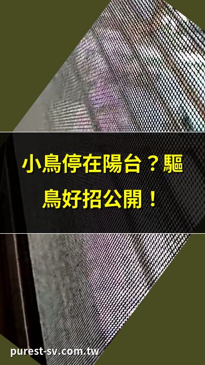 小鳥停在陽台？驅鳥好招公開！ | 陽台小鳥困擾？5招輕鬆驅鳥！ | 小鳥常來陽台？這些方法超有效！ | 陽台小鳥築巢？專家建議如何應對！