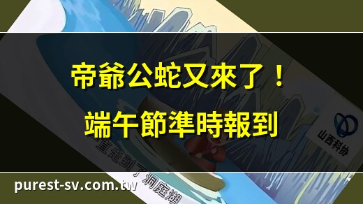 端午節看到蛇