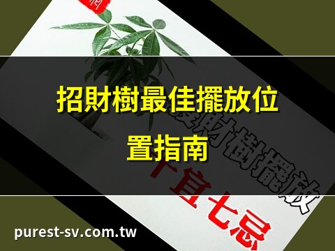 發財樹 風水