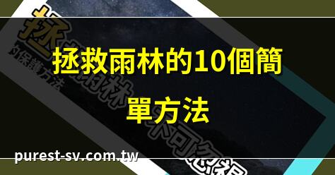 拯救雨林的10個簡單方法 | 保護亞馬遜雨林關鍵策略 | 雨林保護：從小行動開始 | 如何有效保護熱帶雨林
