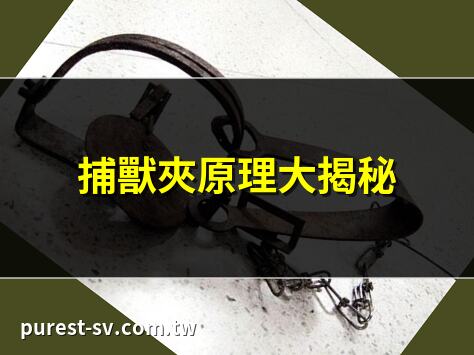 捕獸夾原理大揭秘 | 捕獸夾為何殘忍？ | 捕獸夾的危險性 | 捕獸夾對動物的傷害