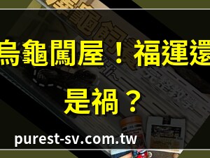烏龜到家裡