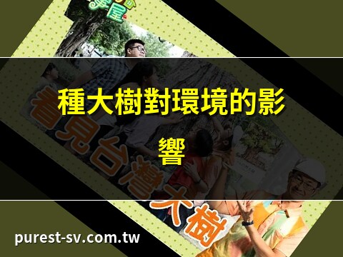 大樹的好處