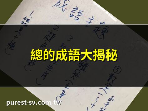 總的成語大揭秘 | 成語總整理，一篇就懂 | 總的成語有哪些？ | 一次掌握總的成語