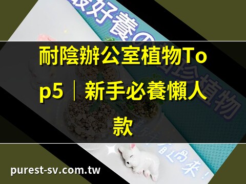 植物 辦公室