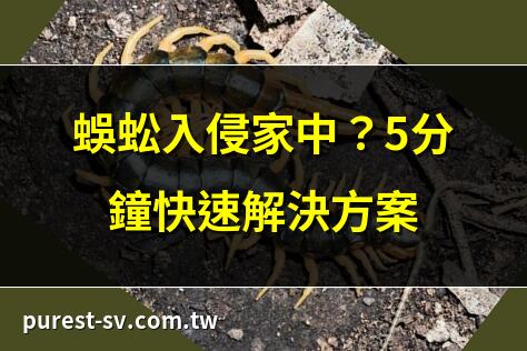 蜈蚣入侵家中？5分鐘快速解決方案 | 家裡跑進蜈蚣？專家教你驅趕方法 | 深夜蜈蚣突襲！家居安全防範指南 | 蜈蚣悄悄入屋？揭開其入侵之謎