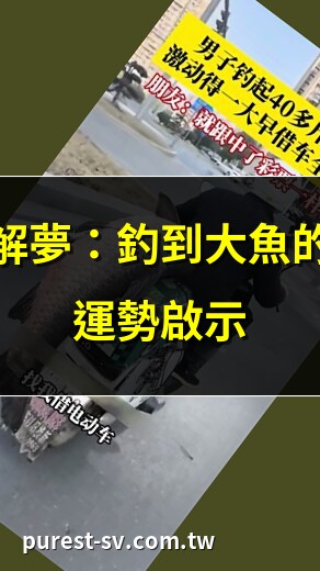 夢到釣到大魚