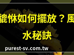 貔恘摆放