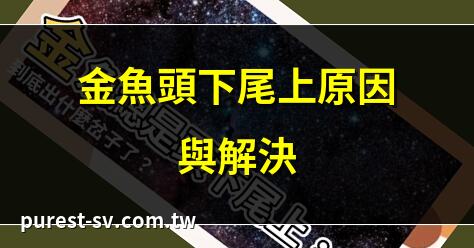金魚頭下尾上原因與解決 | 金魚頭朝下尾朝上怎辦 | 金魚頭下尾上是病嗎 | 金魚頭朝下成因分析