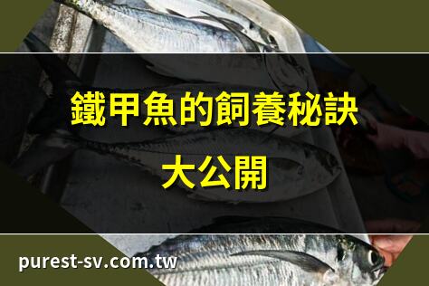 鐵甲魚的飼養秘訣大公開 | 南美鐵甲魚品種全解析 | 鐵甲魚的獨特魅力與習性 | 如何挑選健康的鐵甲魚