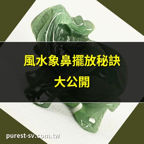 風水象鼻擺放秘訣大公開 | 象鼻風水如何提升財運? | 象鼻朝向影響運勢解析 | 風水象鼻招財擺放指南
