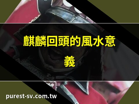 回頭麒麟的寓意