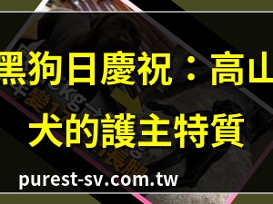 黑狗幾