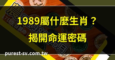 1989屬什麼生肖？揭開命運密碼 | 89年出生屬啥生肖？一次看 | 1989年生肖屬相全解析 | 1989年屬啥？生肖揭曉