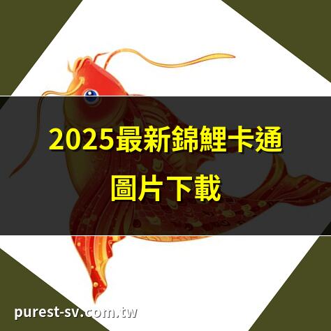 2025最新錦鯉卡通圖片下載 | 免費錦鯉卡通PNG素材分享 | 可愛錦鯉卡通貼紙圖案 | 錦鯉卡通插畫精選集