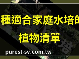家庭水培植物